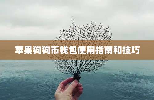 苹果狗狗币钱包使用指南和技巧