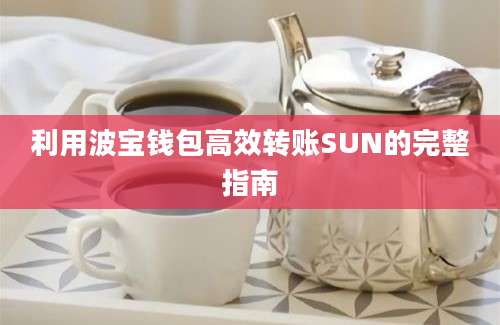 利用波宝钱包高效转账SUN的完整指南