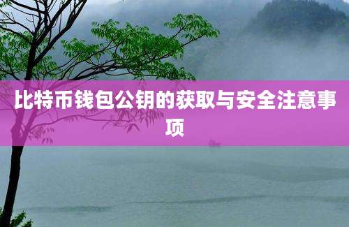 比特币钱包公钥的获取与安全注意事项