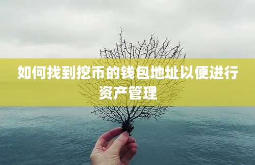 如何找到挖币的钱包地址以便进行资产管理