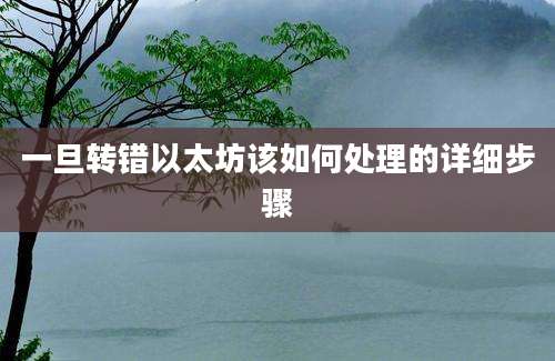 一旦转错以太坊该如何处理的详细步骤