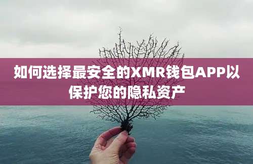 如何选择最安全的XMR钱包APP以保护您的隐私资产