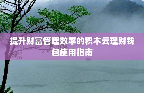 提升财富管理效率的积木云理财钱包使用指南