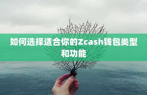 如何选择适合你的Zcash钱包类型和功能