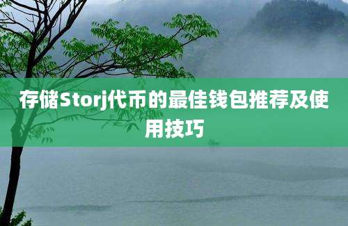 存储Storj代币的最佳钱包推荐及使用技巧