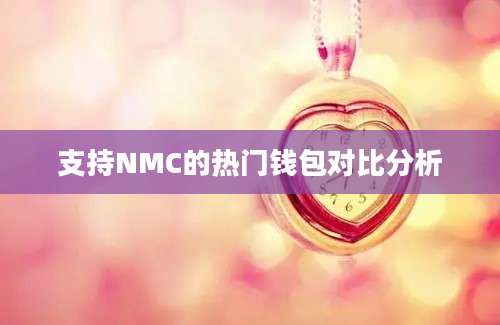 支持NMC的热门钱包对比分析