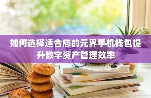 如何选择适合您的元界手机钱包提升数字资产管理效率