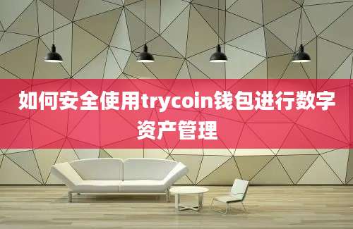 如何安全使用trycoin钱包进行数字资产管理