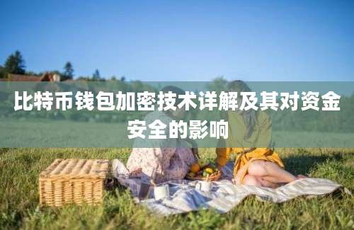 比特币钱包加密技术详解及其对资金安全的影响