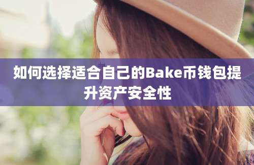 如何选择适合自己的Bake币钱包提升资产安全性