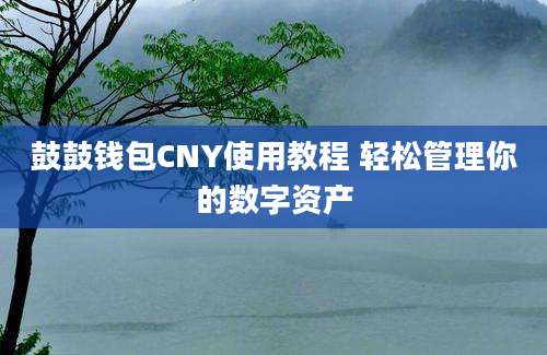 鼓鼓钱包CNY使用教程 轻松管理你的数字资产