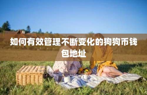 如何有效管理不断变化的狗狗币钱包地址