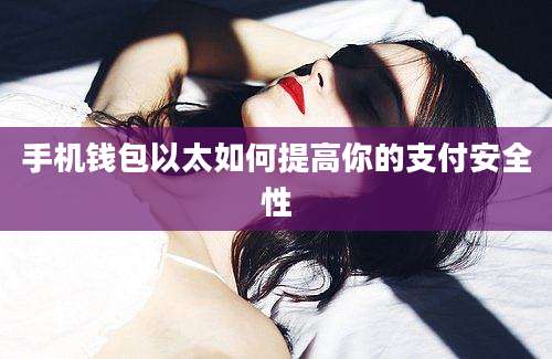 手机钱包以太如何提高你的支付安全性