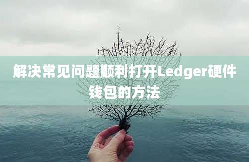 解决常见问题顺利打开Ledger硬件钱包的方法