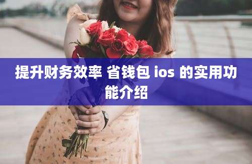 提升财务效率 省钱包 ios 的实用功能介绍