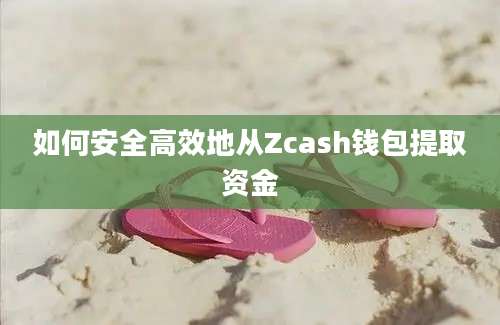 如何安全高效地从Zcash钱包提取资金