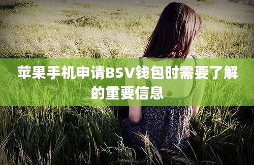 苹果手机申请BSV钱包时需要了解的重要信息