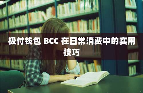 极付钱包 BCC 在日常消费中的实用技巧