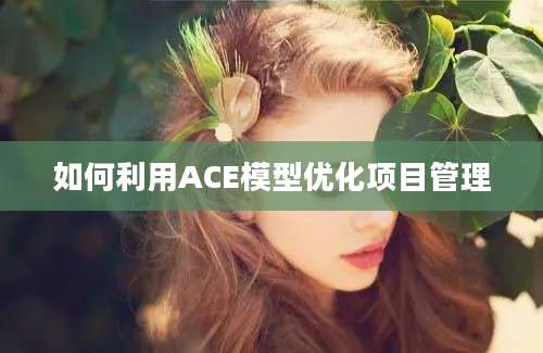 如何利用ACE模型优化项目管理