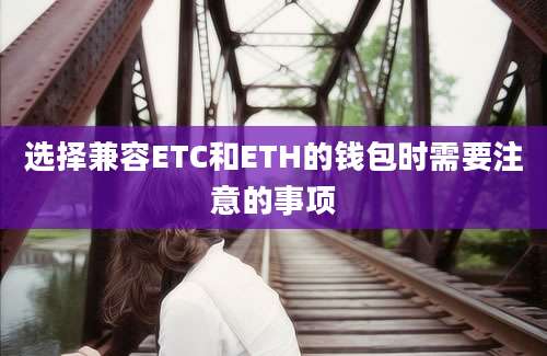 选择兼容ETC和ETH的钱包时需要注意的事项