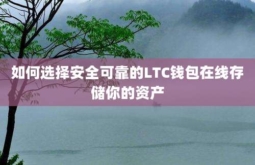 如何选择安全可靠的LTC钱包在线存储你的资产