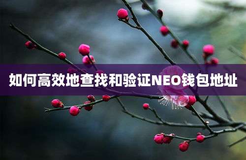 如何高效地查找和验证NEO钱包地址