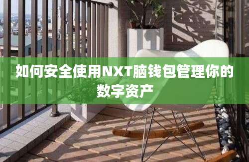 如何安全使用NXT脑钱包管理你的数字资产