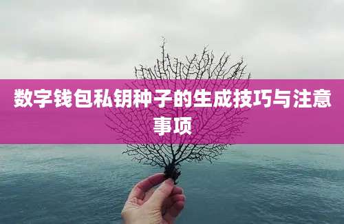 数字钱包私钥种子的生成技巧与注意事项