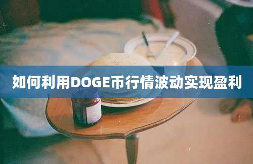 如何利用DOGE币行情波动实现盈利