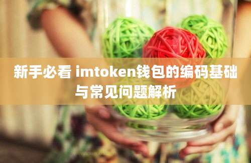 新手必看 imtoken钱包的编码基础与常见问题解析