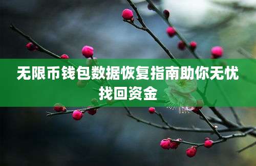 无限币钱包数据恢复指南助你无忧找回资金