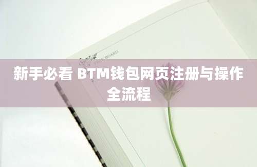 新手必看 BTM钱包网页注册与操作全流程