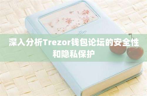 深入分析Trezor钱包论坛的安全性和隐私保护