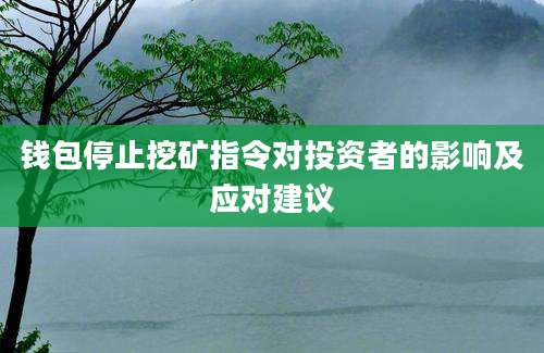 钱包停止挖矿指令对投资者的影响及应对建议