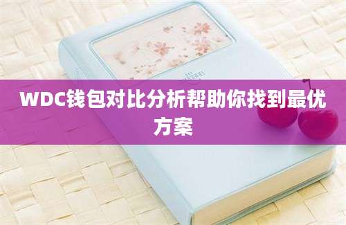 WDC钱包对比分析帮助你找到最优方案