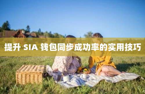 提升 SIA 钱包同步成功率的实用技巧