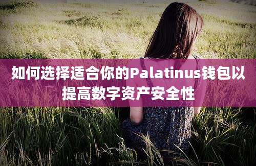 如何选择适合你的Palatinus钱包以提高数字资产安全性