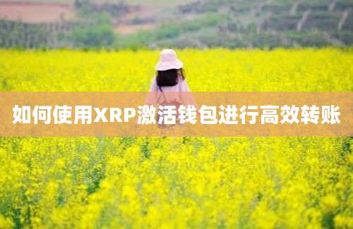 如何使用XRP激活钱包进行高效转账