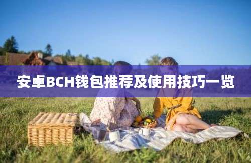 安卓BCH钱包推荐及使用技巧一览