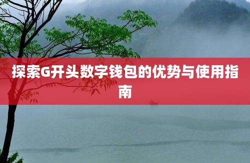 探索G开头数字钱包的优势与使用指南