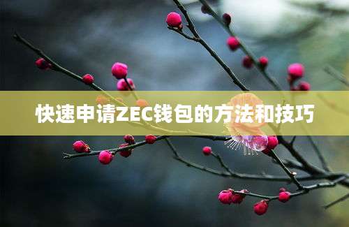 快速申请ZEC钱包的方法和技巧