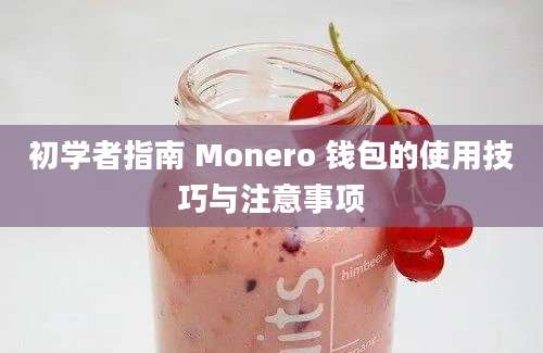 初学者指南 Monero 钱包的使用技巧与注意事项