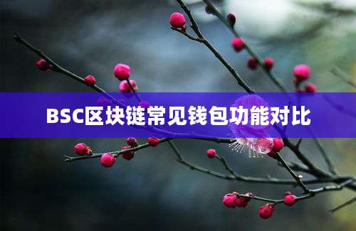 BSC区块链常见钱包功能对比