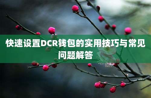 快速设置DCR钱包的实用技巧与常见问题解答