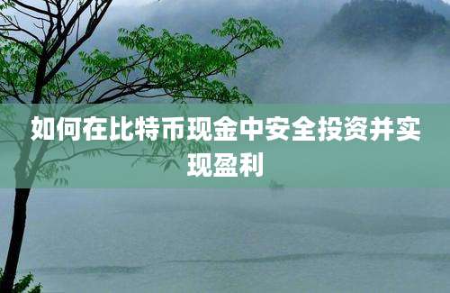 如何在比特币现金中安全投资并实现盈利