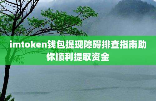 imtoken钱包提现障碍排查指南助你顺利提取资金