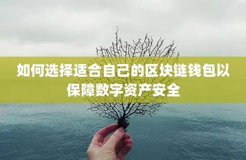 如何选择适合自己的区块链钱包以保障数字资产安全