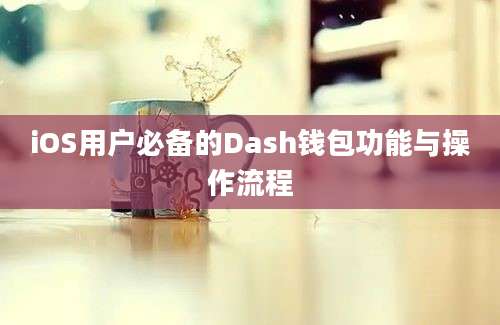 iOS用户必备的Dash钱包功能与操作流程