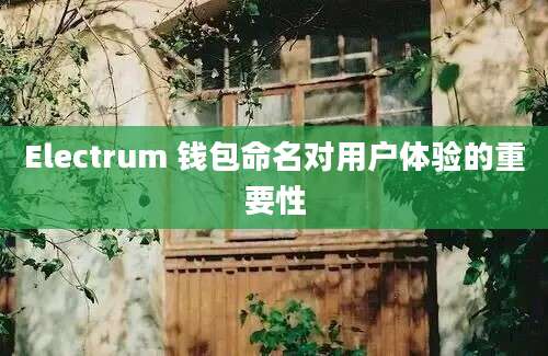 Electrum 钱包命名对用户体验的重要性