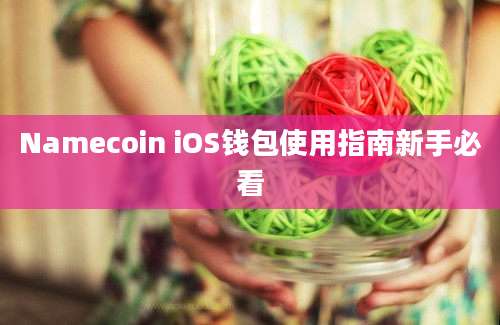 Namecoin iOS钱包使用指南新手必看